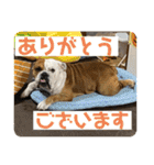 大好き金太郎ごー（個別スタンプ：6）