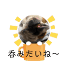 大好き金太郎ごー（個別スタンプ：7）