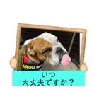 大好き金太郎ごー（個別スタンプ：8）