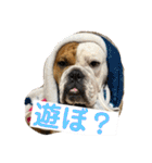 大好き金太郎ごー（個別スタンプ：10）