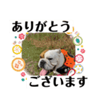大好き金太郎ごー（個別スタンプ：12）