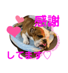 大好き金太郎ごー（個別スタンプ：13）