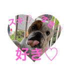 大好き金太郎ごー（個別スタンプ：14）