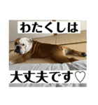 大好き金太郎ごー（個別スタンプ：17）