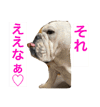 大好き金太郎ごー（個別スタンプ：20）