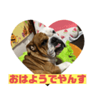 大好き金太郎ごー（個別スタンプ：23）