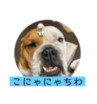 大好き金太郎ごー（個別スタンプ：24）