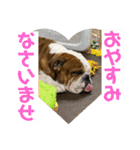 大好き金太郎ごー（個別スタンプ：26）