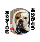 大好き金太郎ごー（個別スタンプ：27）