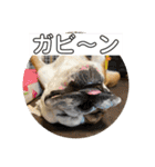 大好き金太郎ごー（個別スタンプ：28）