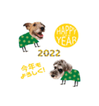 ジャックとモップのクリスマス＆お正月（個別スタンプ：1）