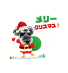 ジャックとモップのクリスマス＆お正月（個別スタンプ：3）