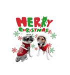 ジャックとモップのクリスマス＆お正月（個別スタンプ：7）