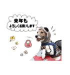 ジャックとモップのクリスマス＆お正月（個別スタンプ：8）
