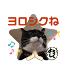 猫愛スタンプ  ❸（個別スタンプ：4）