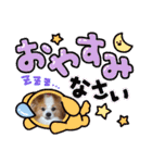 ぱぴぱぴパピヨン50（個別スタンプ：24）