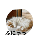 ゆうきのカミーユとジェリドのスタンプ（個別スタンプ：11）