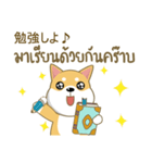 柴犬②（タイ語通訳）（個別スタンプ：3）