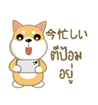 柴犬②（タイ語通訳）（個別スタンプ：8）