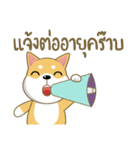 柴犬②（タイ語通訳）（個別スタンプ：16）