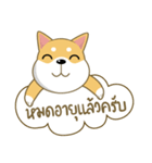 柴犬②（タイ語通訳）（個別スタンプ：17）