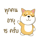 柴犬②（タイ語通訳）（個別スタンプ：21）