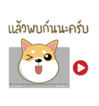 柴犬②（タイ語通訳）（個別スタンプ：25）