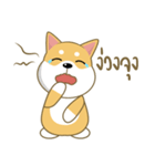 柴犬②（タイ語通訳）（個別スタンプ：34）