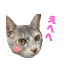 ちゃんまき vol.2（個別スタンプ：13）