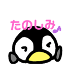 ペンギンのぬいぐるみのぺんたん（個別スタンプ：13）