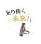 クリスタル ラッキースタンプ2（個別スタンプ：16）