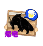 猫愛スタンプ  ❷（個別スタンプ：8）