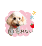 皆の宝物いちご（個別スタンプ：1）