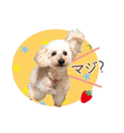 皆の宝物いちご（個別スタンプ：2）