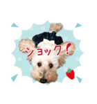 皆の宝物いちご（個別スタンプ：3）