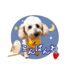 皆の宝物いちご（個別スタンプ：5）