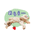 皆の宝物いちご（個別スタンプ：6）