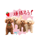 皆の宝物いちご（個別スタンプ：7）