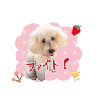皆の宝物いちご（個別スタンプ：8）