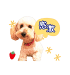 皆の宝物いちご（個別スタンプ：10）