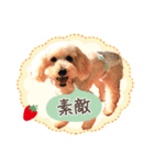 皆の宝物いちご（個別スタンプ：11）
