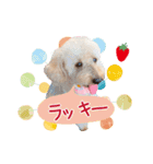 皆の宝物いちご（個別スタンプ：15）