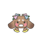 Cute Animalスタンプ♬︎♡【挨拶】（個別スタンプ：5）