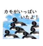普段使いのカモ（鴨）スタンプですねぇ（個別スタンプ：29）