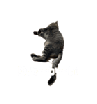 俺、わさび（個別スタンプ：7）