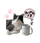ビビ姫とカイロス王子＊12（個別スタンプ：4）