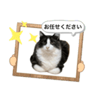 ビビ姫とカイロス王子＊12（個別スタンプ：5）