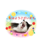 ビビ姫とカイロス王子＊12（個別スタンプ：9）