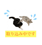 ビビ姫とカイロス王子＊12（個別スタンプ：16）