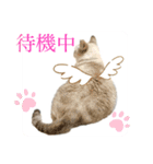 ビビ姫とカイロス王子＊12（個別スタンプ：19）